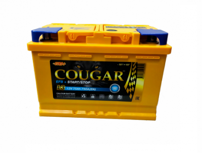 COUGAR EFB -75 a/h Обратная полярность