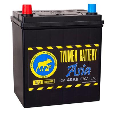 Тюмень standart- 40a/h Азия Обратная полярность